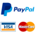 PayPal and Visa payment methods